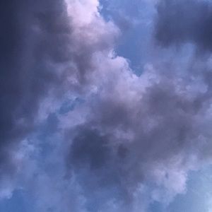 Meet your Posher, Tayler